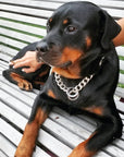 Cuban Chain Dog Collar - Silver Phantom Jewelry